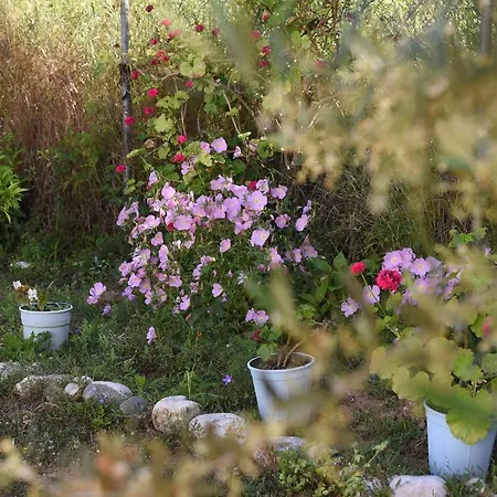 شقة Mina زاخارو