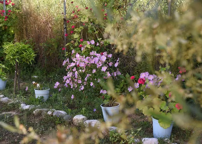 شقة Mina زاخارو